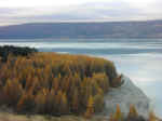 pukaki-07.jpg (51786 bytes)