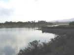 dam03.jpg (35065 bytes)
