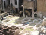 tannery01.jpg (80161 bytes)