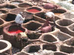 tannery02.jpg (100643 bytes)