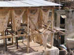tannery03.jpg (94080 bytes)