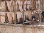 tannery04.jpg (85115 bytes)