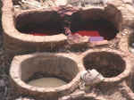 tannery07.jpg (83841 bytes)