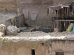 tannery08.jpg (78060 bytes)