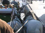 carriage01.jpg (71096 bytes)