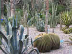 garden01.jpg (119574 bytes)