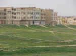 city02.jpg (63687 bytes)