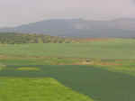 countryside01.jpg (41705 bytes)
