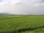 countryside07.jpg (47574 bytes)