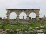 volubilis02.jpg (64068 bytes)