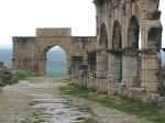 volubilis05.jpg (74118 bytes)