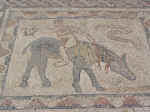 volubilis13.jpg (100657 bytes)