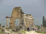 volubilis16.jpg (65753 bytes)