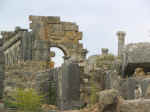 volubilis21.jpg (69795 bytes)