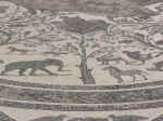 volubilis23.jpg (123648 bytes)