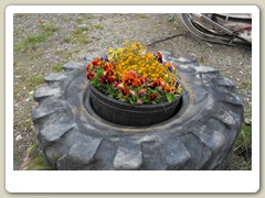 Stuff by the parking lot