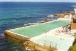 bondi-rock-pool.jpg (65540 bytes)