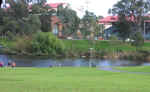 park-04.jpg (67059 bytes)