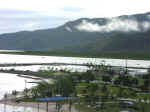 cairns-04.jpg (61034 bytes)