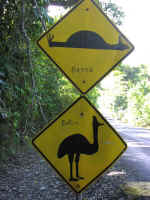 cass-sign.jpg (56685 bytes)