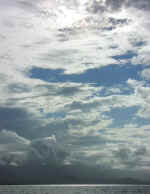 wavedancer15.jpg (31787 bytes)