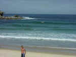 bondi-03.jpg (46551 bytes)