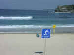 bondi-08.jpg (44324 bytes)