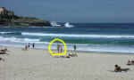 bondi-10.jpg (46236 bytes)