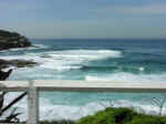 bondi-13.jpg (51502 bytes)