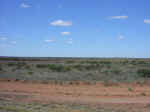 stuarthgwy-01.jpg (45384 bytes)