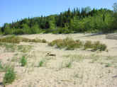 P8290274.jpg (75983 bytes)