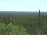 P8270236.jpg (45236 bytes)