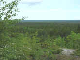 P8270237.jpg (63380 bytes)