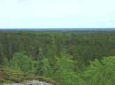 P8270238.jpg (48743 bytes)