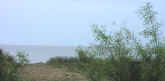 P8280252.jpg (36781 bytes)