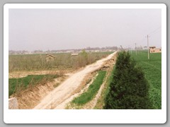 Local farm - bus ride from the airport to Chungdu city