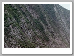 Cruising down the Yangtze River