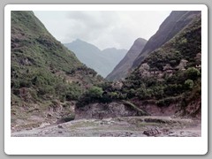 Cruising down the Yangtze River