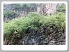 Cruising down the Yangtze River