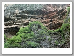 Cruising down the Yangtze River