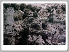 The gounds of The Palace Museum