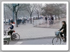 The grounds of the park