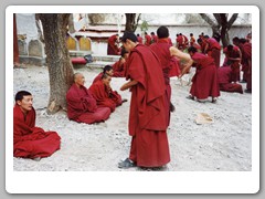 Debate Courtyard - each aftrnoon students ask questions of each other