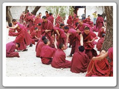 Debate Courtyard - each aftrnoon students ask questions of each other