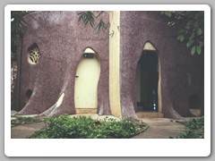Rest rooms - in the tree trunk
