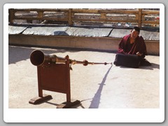 Large horns on the roof