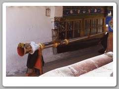 More of the large horns