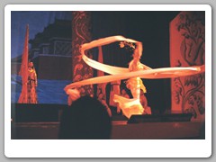 The Chinese opera