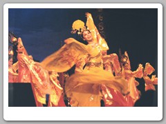 The Chinese opera