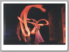 The Chinese opera